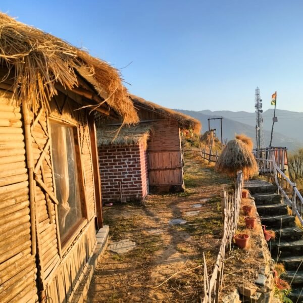 WhatsApp Image 2025-03-26 at 13.03.09 (1)