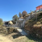 WhatsApp Image 2025-03-26 at 14.50.37