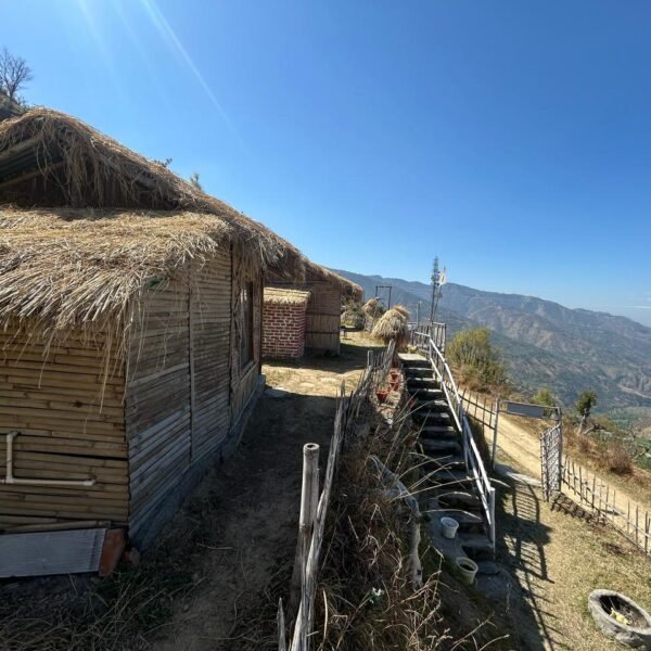 WhatsApp Image 2025-03-26 at 14.50.39