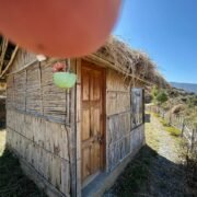 WhatsApp Image 2025-03-26 at 14.50.40 (2)