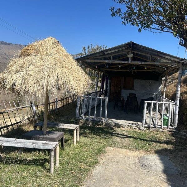 WhatsApp Image 2025-03-26 at 14.50.43 (1)