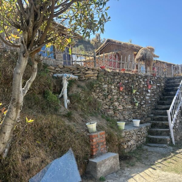 WhatsApp Image 2025-03-26 at 14.50.43