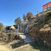 WhatsApp Image 2025-03-26 at 14.50.44 (2)